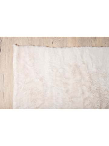 ebuy24 Teppich Nina Weiß 160 x 230 cm