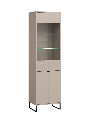 Feldmann-Wohnen Vitrine Caseres Kaschmir | schwarz 50 / 38 / 184cm