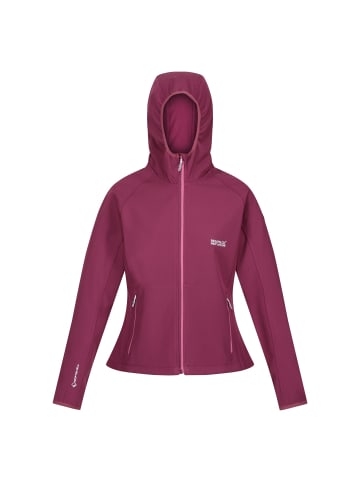 Regatta Wanderjacke Arec III in AmaranthHaze