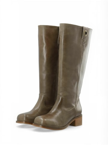 Cashott Stiefel CASVILMA in Taupe
