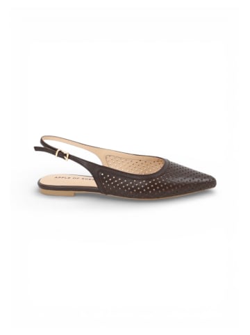 Apple of Eden Slingback DEEN in TDM
