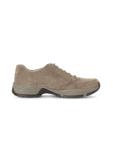 Pius Gabor Sneaker low in beige