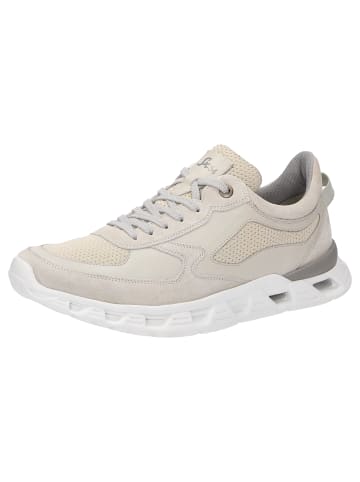 Sioux Sneaker Noxolan-701 in grau