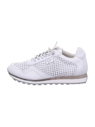 Cetti Sneaker Low in Weiß