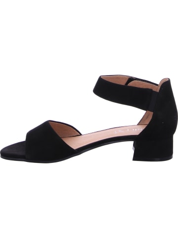 Caprice Sportliche Sandalen für Herren in schwarz