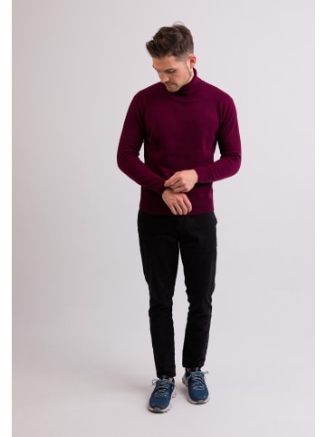 CASH-MERE.CH Rollkragen Pullover in Cranberry Rot