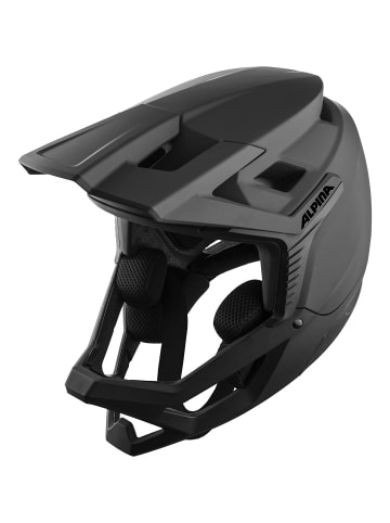 Alpina ROCA in Schwarz