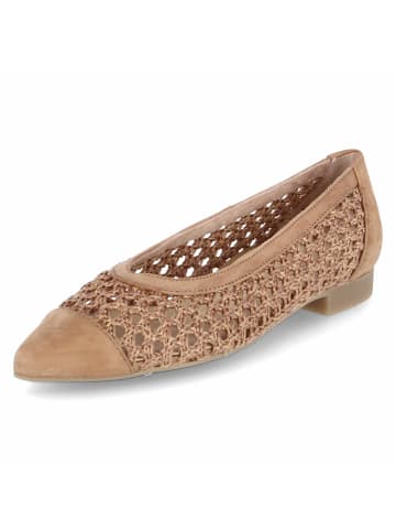Paul Green Ballerinas in braun