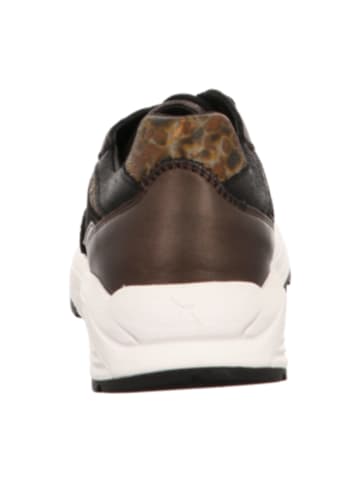 Xsensible Sportliche Schnürschuhe in Braun