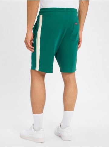 Finshley & Harding London Shorts in grün