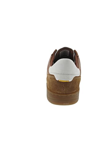 Camel Active Sneaker low Braun