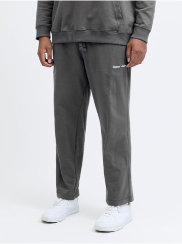 JACK & JONES PLUS Hose in Asphalt