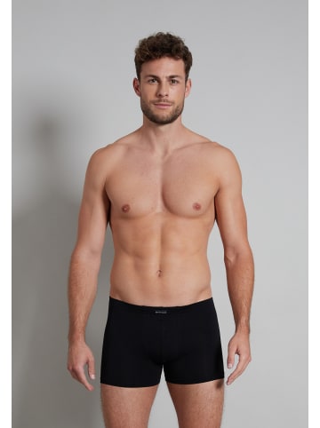 Tom Tailor Pants 4Er Pack Kingsville in schwarz-dunkel-uni