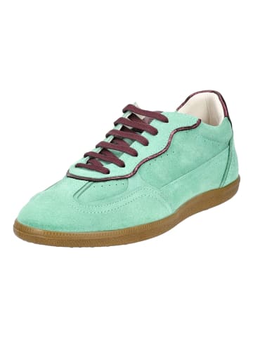 Lazamani Sneaker in Grün