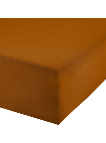 Erwin Müller Single-Jersey Boxspringbett-Spannbettlaken Freising in kupfer