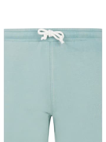 Protest " PRTTedor in Arcticgreen