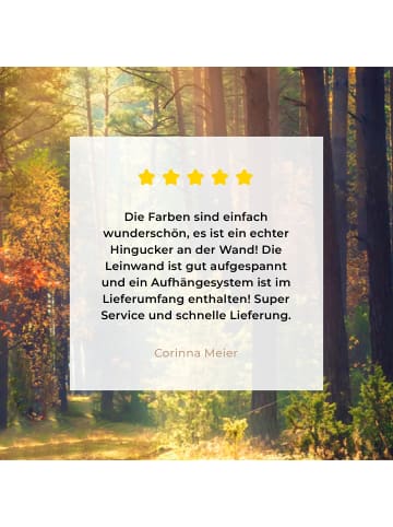 MuchoWow Leinwand bilder Waldpfad (BxH)