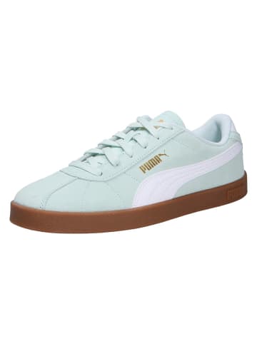 Puma Sneaker CLUB II in grün