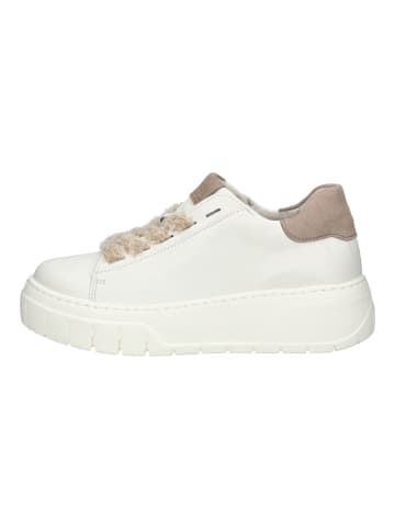 Gabor Sneaker Latte