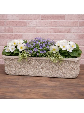 AltoBelli Blumentopf PERUGIA Beige Grau Zement Rechteckig 32x10 cm