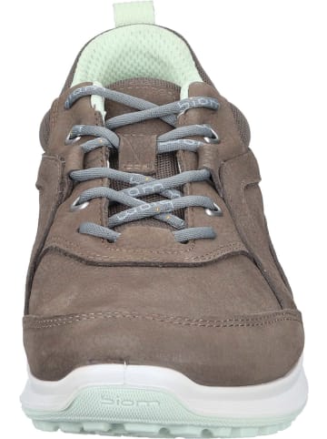 Ecco Damenschnürrschuhe halb sportlicher Boden Outdoor in  Braun