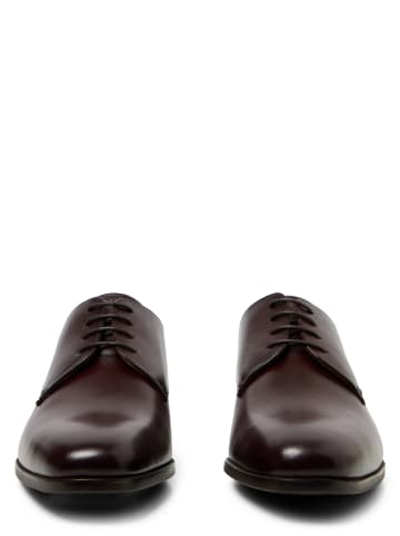 Roy Robson Schuhe in schoko - 0002