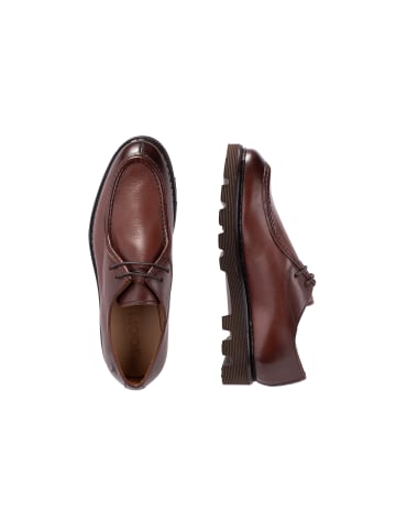 JOOP! Lace Up 'Estate Cole in Cognac'