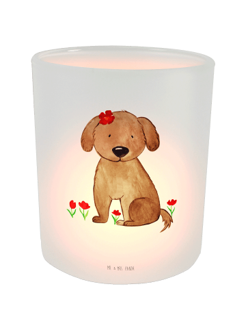 Mr. & Mrs. Panda glas teelichthalter Hund Dame ohne Spruch in Transparent