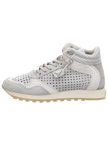 Cetti Sneaker in beige