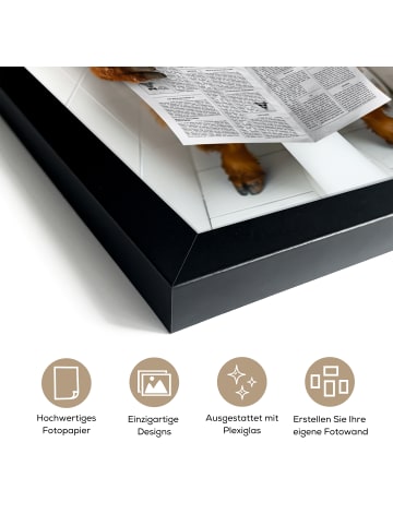 MuchoWow Poster mit Leiste Zeitung Schottisches Hochlandrind