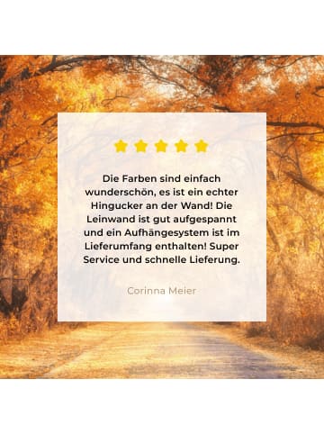 MuchoWow Leinwand bilder Waldweg (BxH)