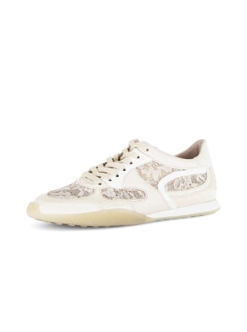 Gabor Sneaker low in gelb