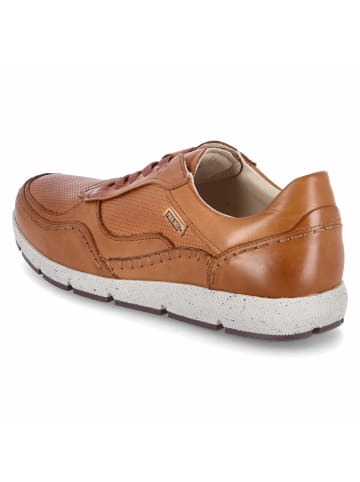 Pikolinos Slipper in braun
