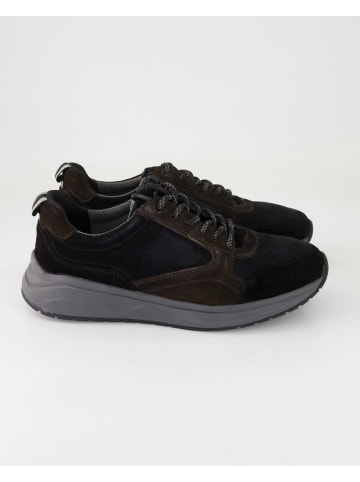 Sioux Sneaker low in Schwarz