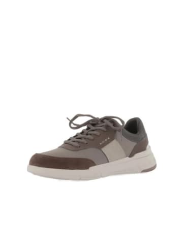 Geox Sneackers U in Dove Grey/Dk Brown
