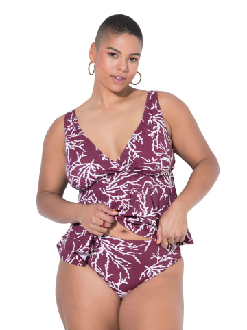 Studio Untold Bikini in aubergine