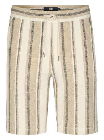 Petrol Industries Chino-Shorts Pathfinder in Braun