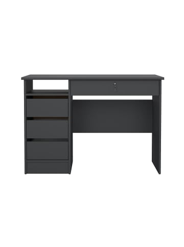 ebuy24 Schreibtisch FunctionPlus Grau 110 x 49 cm