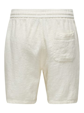 ONLY & SONS Shorts in Cloud Dancer
