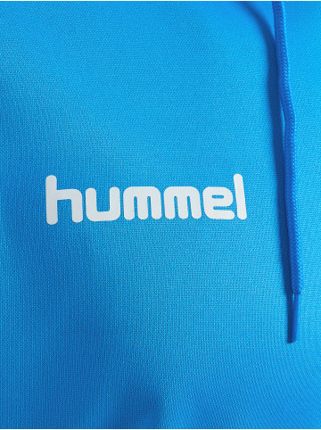 Hummel Hummel Poly Kapuzenpullover Hmlpromo Multisport Herren in DIVA BLUE
