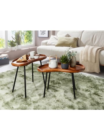 FineBuy Beistelltisch in Braun / Sheesham / 40x71x51