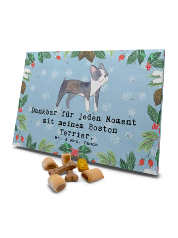 Mr. & Mrs. Panda Hunde Adventskalender Boston Terrier Moment mit... in Eisblau