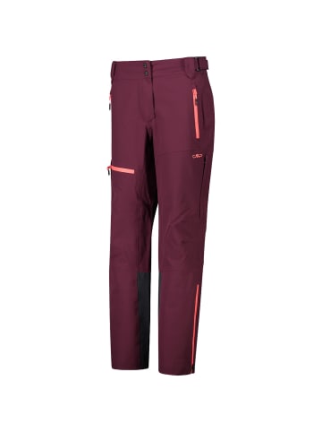 Campagnolo W PANT VII in Pflaume