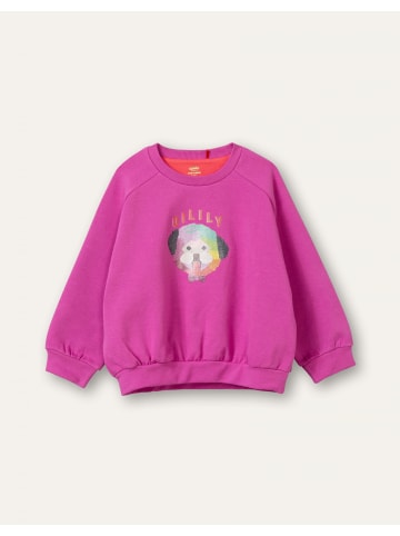 Oilily Haisley Sweater in Rosa