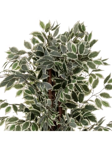 Atmosphera Créateur d'intérieur Künstlicher Ficus in grün