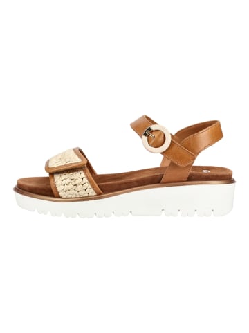 ara Sandalen in Cognac