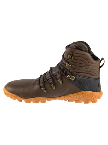 VIVOBAREFOOT Vivobarefoot Tracker Forest ESC in Braun