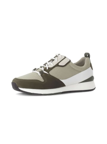 Gabor Sneaker low in grün