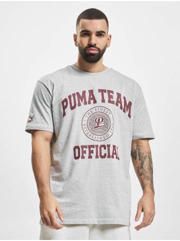 Puma Puma Puma Team Graphic T-Shirt in light gray heather