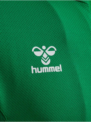 Hummel Hummel Zip Jacke Hmlauthentic Multisport Herren Atmungsaktiv Feuchtigkeitsabsorbierenden in JELLY BEAN